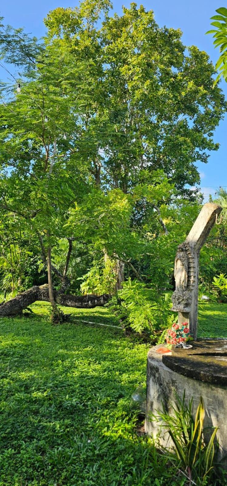 Casa Don Chiquilin El Cedral Holiday home Cozumel
